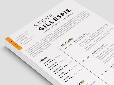 Minimalist CV Resume 3d animation clean cover letter cv design cv template design graphic design illustration logo motion graphics resume resume design resume template