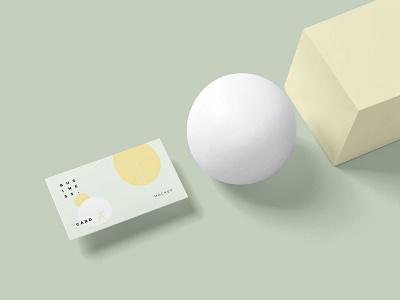 Business Card Mockups