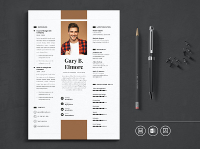 Professional CV Resume clean clean resume cover letter cv design cv template design illustration job letter logo professional resume resume design resume template