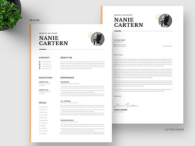 Clean CV Resume Word Template