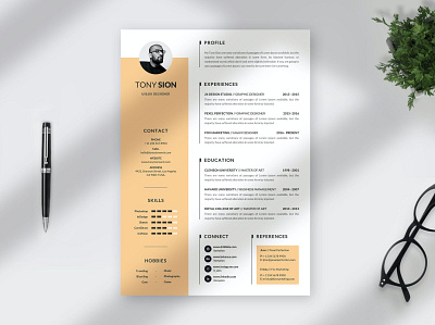 Minimalist Resume Curriculum Vitae Template 3d animation branding clean cover letter cv design cv template design graphic design illustration logo motion graphics resume resume design resume template ui