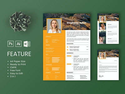 Professional CV And Resume Template