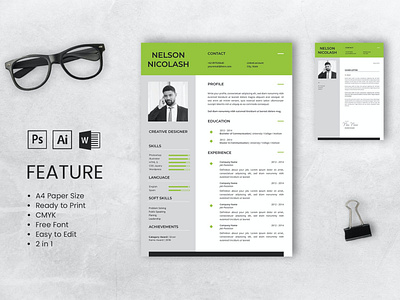 Professional CV And Resume Template