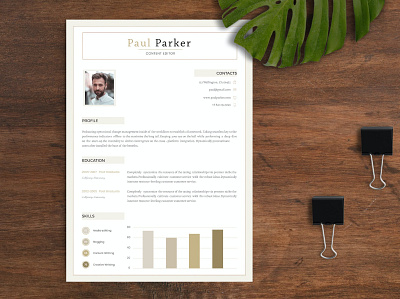 Professional CV Template clean cover letter cv clean cv design cv minimal cv modern cv template design illustration job job cv job work professional professional cv professional cv tenplate professional template resume resume design resume template work