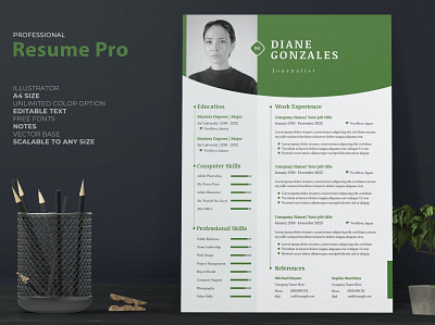 Professional Resume / CV a4 clean cover letter cv design cv template design graphic design illustration job job cv letter minimal modern motion graphics professional clean professional cv professional resume resume resume design resume template