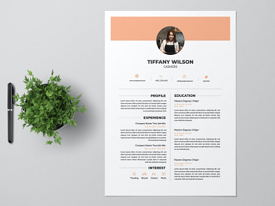 Cashier Resume Pro career clean corporates cover letter cv design cv template design graphic design illustration job cv jobs minimal cv modern cv motion graphics professional clean professional cv resume resume design resume pro resume template