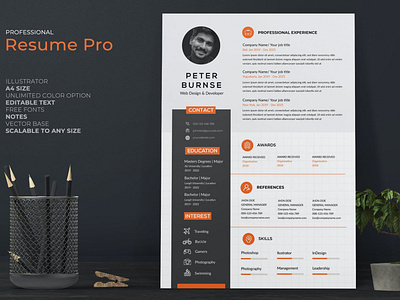 Clean Resume / CV Template Pro