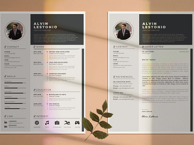 Creative Director Resume CV clean cover letter creative creative director cv cv design cv template director graphic design job minimal cv modern professional professional cv professional job resume resume design resume template simple word