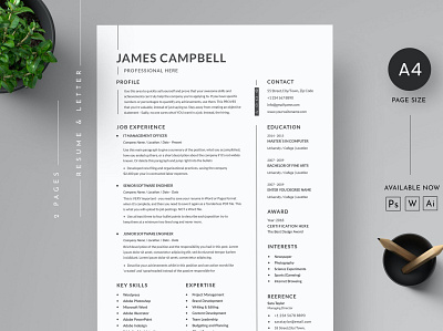 Minimal Resume US Letter Size clean cover letter cv cv clean cv design cv resume cv simple cv template design job job cv minimal cv professional professional clean professional cv resume resume cv resume design resume template simple cv