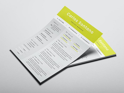 Resume Word clean cover letter creative curriculum vitae cv cv design cv template design illustration indesign indesign cv job cv modern portfolio professional professional cv resume resume design resume template template