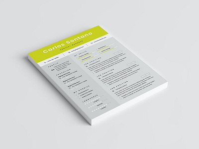 Resume Word clean cover letter creative curriculum vitae cv cv design cv template design illustration indesign job cv modern portfolio professional professional cv resume resume design resume template template word