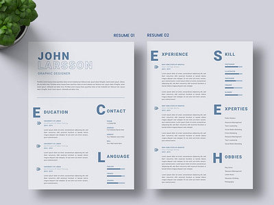 CV Resume Template