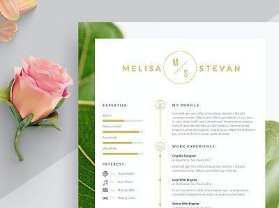 Resume clean cover cover letter curriculum vitae cv design cv template design doc document graphic design illustration job job cv minimalist portfolio professional cv resume resume design resume template work