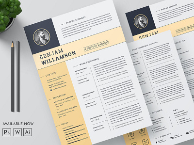 Resume clean cover letter cv design cv template design doc document graphic design illustration job job cv letterhead minimal clean minimal resume portfolio professional cv resume resume design resume template work