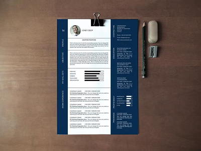 Resume clean cover letter curriculum vitae cv design cv job cv template design doc document graphic design illustration job job cv letter letterhead professional cv resume resume design resume template work