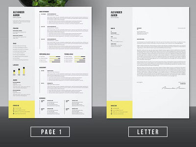 FREE CV Resume Template