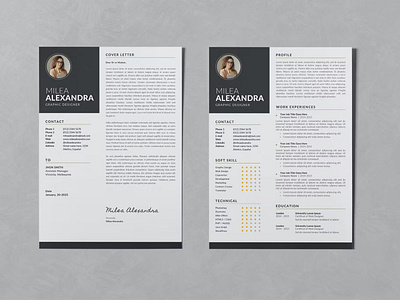 FREE Resume CV