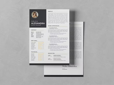 FREE Resume CV