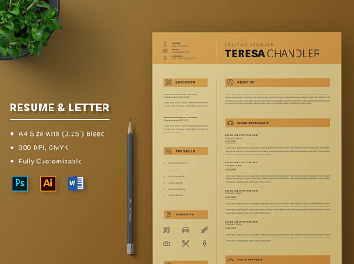 CV Resume Template clean cover letter cv design cv resume template cv template design doc docx graphic design illustration indesign letter manager microsoft minimalist motion graphics professional resume resume design resume template