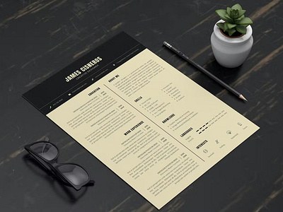 Basic CV Resume & Letter Template