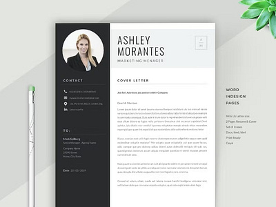 FREE Resume / Cv Template