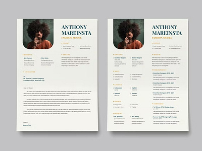 Free CV Resume Template V.50