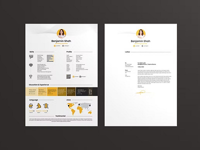 Professional Resume CV