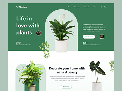 Planten || Plants Landing page 2021 2021 trend clean ecommerce landing page minimalism online shop plant plant shop landing page plants product product design tree ui ux visual design web design web template website