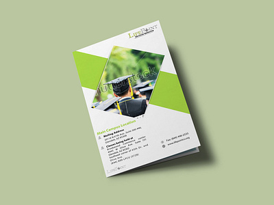 Graduation Bi-Fold Brochure Design Template