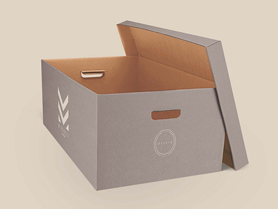 Free Large Shoe Box Mockup