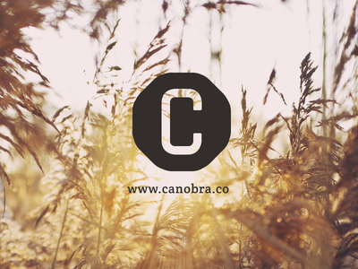 Canobra logo logo design personal project side project