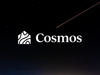 Cosmos Minimal Logo branding branding and identity buisnesslogo corporate identity design graphicdesign illustration logo minimal