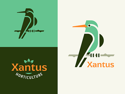 xantus logo branding branding and identity buisnesslogo corporate identity design graphicdesign illustration logo