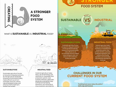 Food system : Infographics animation aquarelle branding brushes design draft drawing food food illustartion food system graphic design icons illustration infographic pencil sketch style ui visual identity website illustration