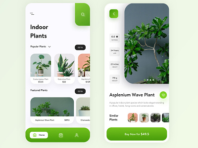 Indoor Plant App UI branding
