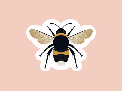 Bee Illustration