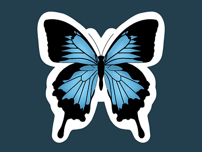 Blue Butterfly Illustration butterfly sticker stickers