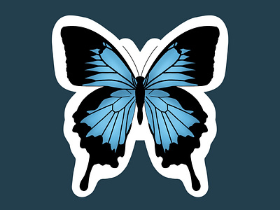 Blue Butterfly Illustration