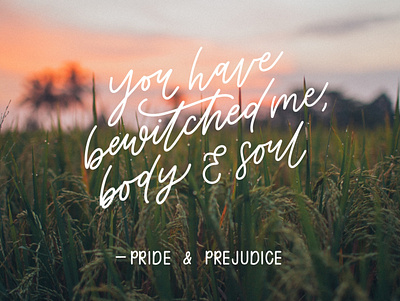 Pride and Prejudice Lettering field lettering lettering design monoline monoline script pride and prejudice