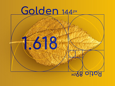 Golden Ratio 1.618 concept design golden ratio illustration theory