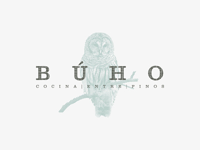 BÚHO - COCINA ENTRE PINOS