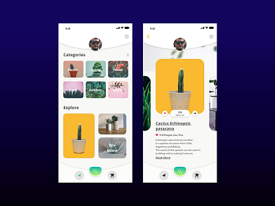 Plant Shop App Concept 2019 trends 2019design adobexd app app concept app design appdesign coloful concept design conceptual design exploration intaraction design plant app plant shop trendy design ui userinterface ux white