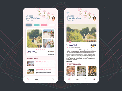 Wedding Planner App Concept