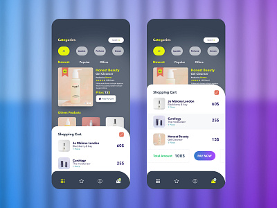 E Commerce App Concept