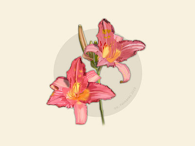Flowers By K. Fairbanks floral flower flowers illustrator nature vector