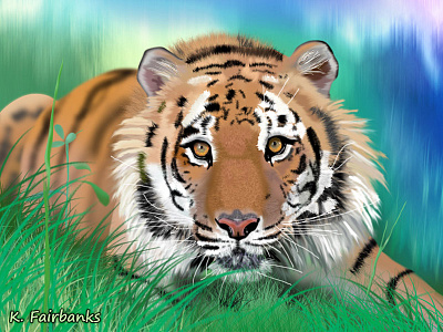 Tiger By K Fairbanks animal animals cat cats digital art nature photoshop tiger tigers wildlife