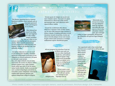 Aquarium Brochure page 2 by K. Fairbanks aquarium brochure fish graphic design illustrator indesign penguin photoshop print print design vector
