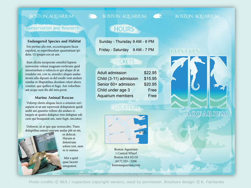 Aquarium Brochure page 1 by K. Fairbanks print design pagelayout software graphic design print pagelayout turtle seahorse fish aquarium brochure indesign