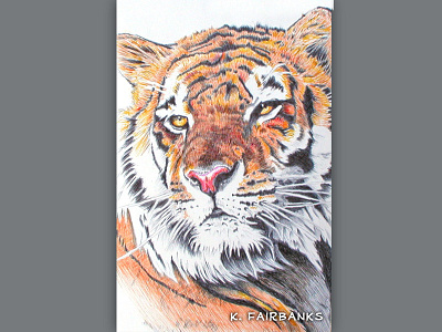 Tiger Yellow Eyes By K Fairbanks animal animals ballpoint pen art ballpoint pen drawing cat cats drawing nature pen tiger tigers wildlife