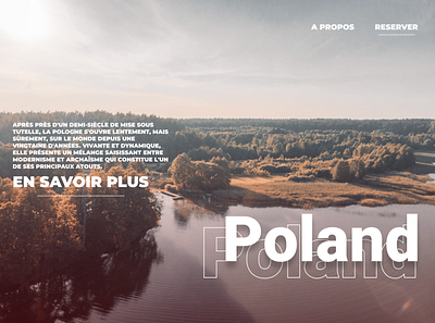 Poland ui app design graphic design minimal typography ui ux web webdesign website